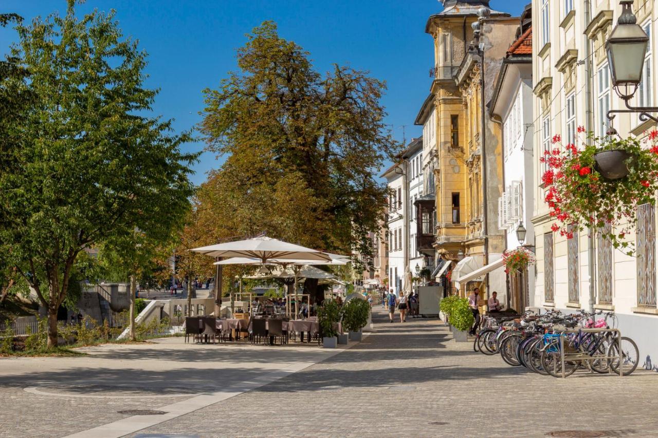 Fine Ljubljana Apartments Екстериор снимка